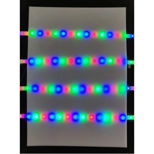 Mousse Translucide 3mm XL