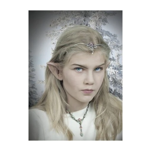 Petites Oreilles Elfe
